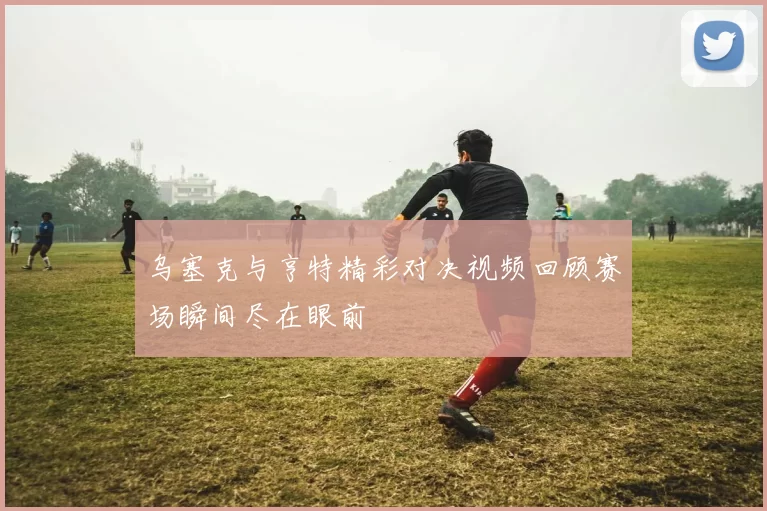 乌塞克与亨特精彩对决视频回顾赛场瞬间尽在眼前