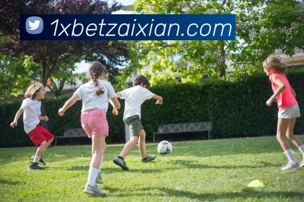 App Interface Preview